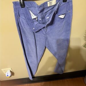 Women's Purple Pants